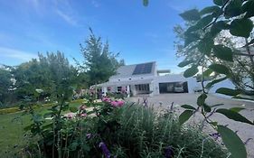 Julie'S Cottage